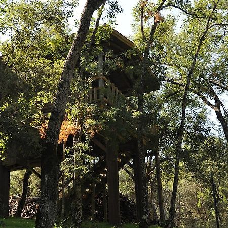 Los Nidos De Santa Maria Arroyo Frio Luaran gambar