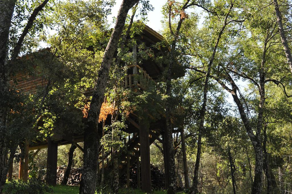 Los Nidos De Santa Maria Arroyo Frio Luaran gambar