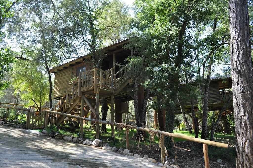 Los Nidos De Santa Maria Arroyo Frio Luaran gambar